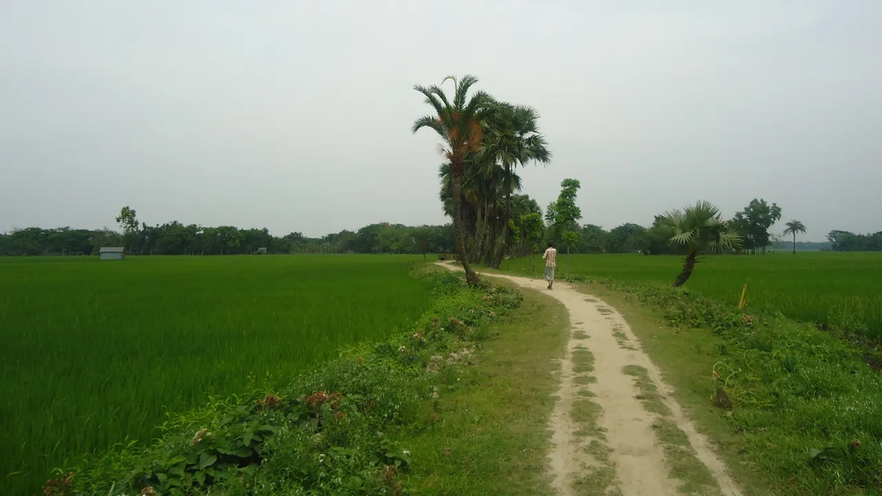 road