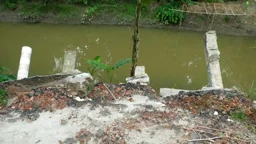 খননের সাত মাসেই ধসে পড়ছে খালের পাড়, বিলীন হচ্ছে জমি