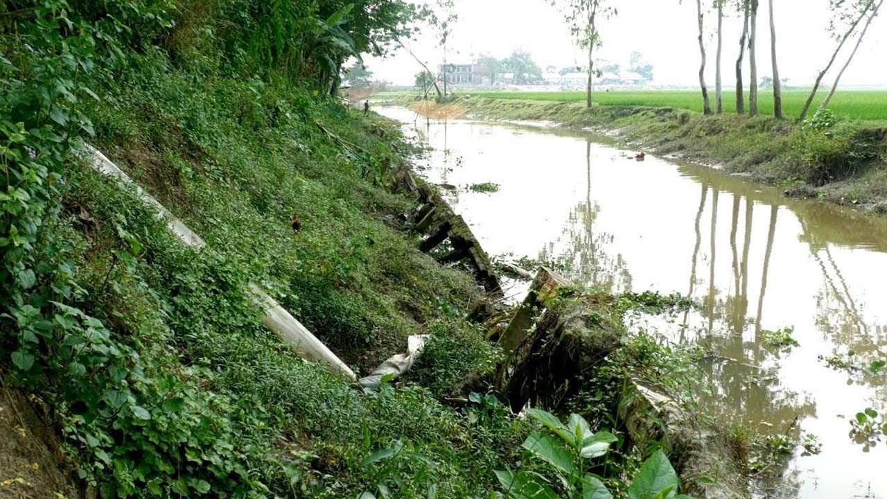 ছবি: এশিয়া পোস্ট