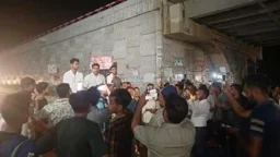 ইউএনও-ডিসি অপসারণের দাবিতে ছাত্রদলের সড়ক অবরোধ
