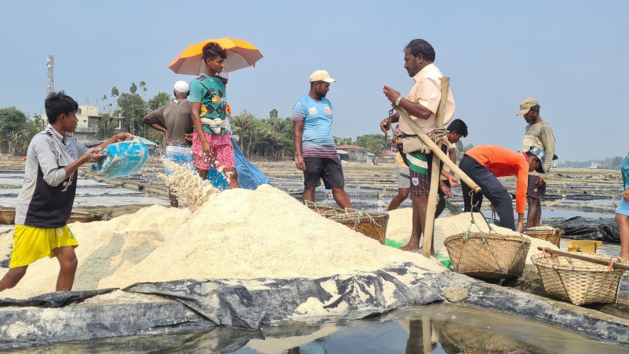 কক্সবাজার সদর উপজেলায় চৌফদলণ্ডীর বিস্তীর্ণ লবণ মাঠে চাষিদের ব্যস্ততা। গত মৌসুমে তোলা। ছবি: এশিয়া পোস্ট