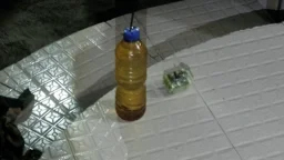 বিএনপি নেতার বাড়িতে মিলল পেট্রোলভর্তি বোতল 