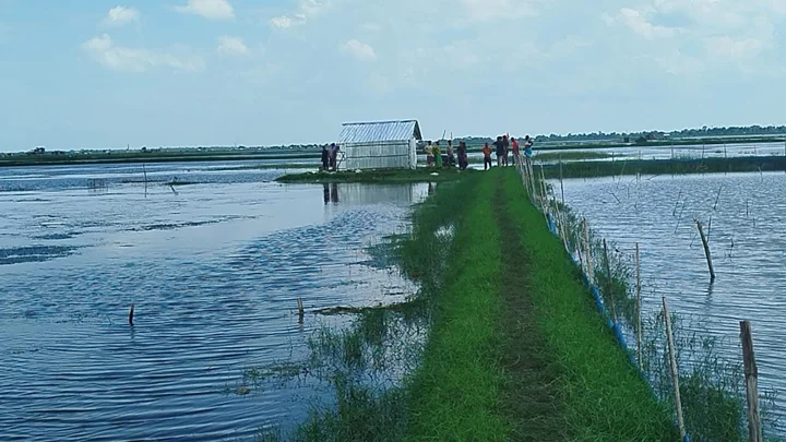 ১৭ বছর পর মহিলা লীগ নেত্রীর দখলে থাকা জমি ফিরে পেলেন প্রবাসী
