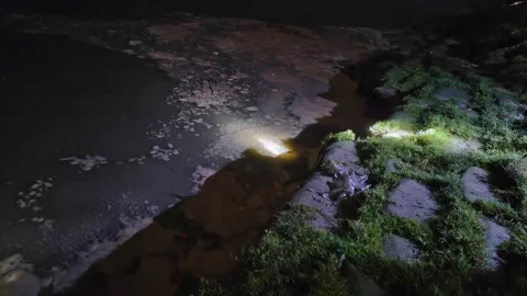 ঘূর্ণিঝড় অর্ণবের প্রভাবে সাতক্ষীরায় নদীভাঙন, বিস্তীর্ণ এলাকা প্লাবিত হওয়ার শঙ্কা