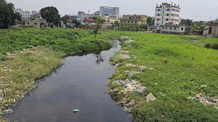সাভারের জলাশয়ে মাত্রাতিরিক্ত রাসায়নিকের উপস্থিতি, দূষণ ছড়ানোর আশঙ্কা