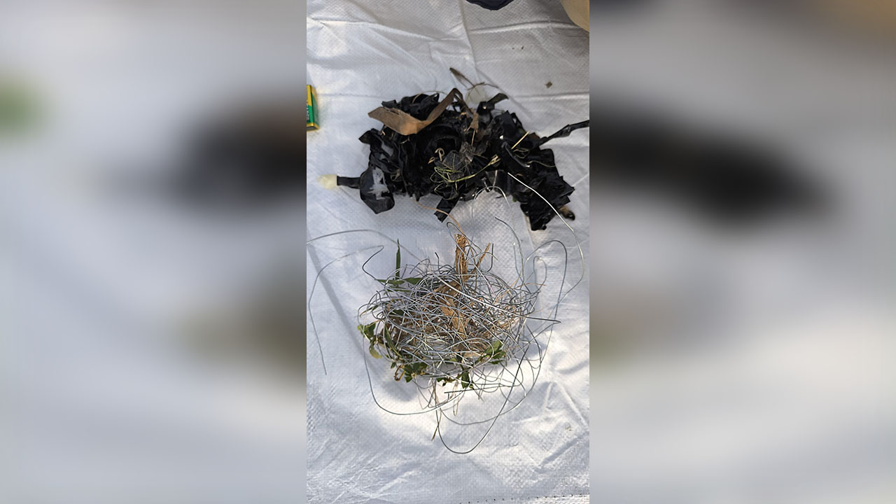 আশুলিয়ায় দোকানের সামনে বিস্ফোরক, নিষ্ক্রিয় করল বম্ব ডিসপোজাল ইউনিট