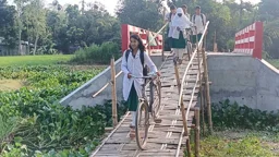২৯ লাখ টাকার সেতুতে নেই সংযোগ সড়ক, বাঁশের চাটাই দিয়ে পারাপার
