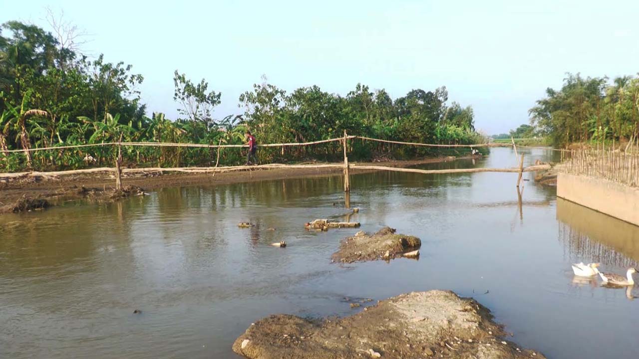 ছবি: এশিয়া পোস্ট