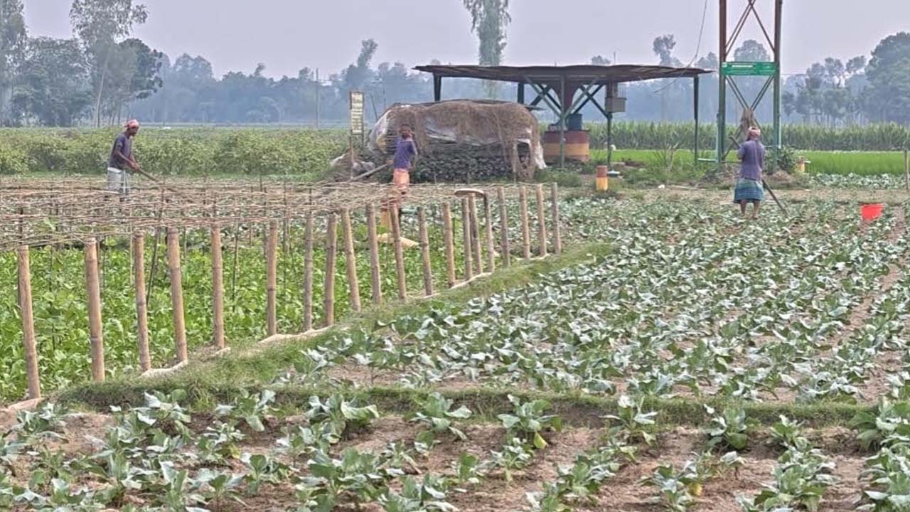 ছবি: এশিয়া পোস্ট