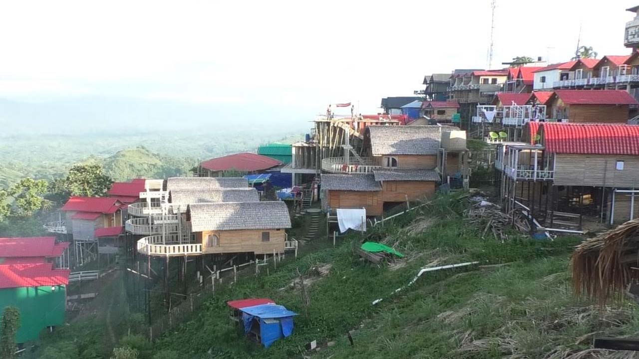 shajek