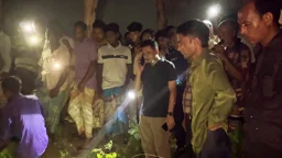 শেরপুরে বিদ্যুৎ স্পর্শে নির্মাণ শ্রমিকের মৃত্যু, পুকুর থেকে মরদেহ উদ্ধার