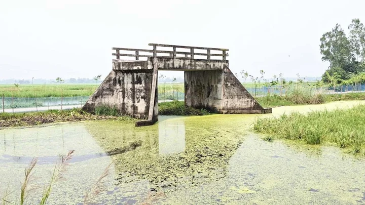 কৃষকের সুবিধার্থে নির্মিত সেতু, ২৫ বছরেও হয়নি সংযোগ সড়ক
