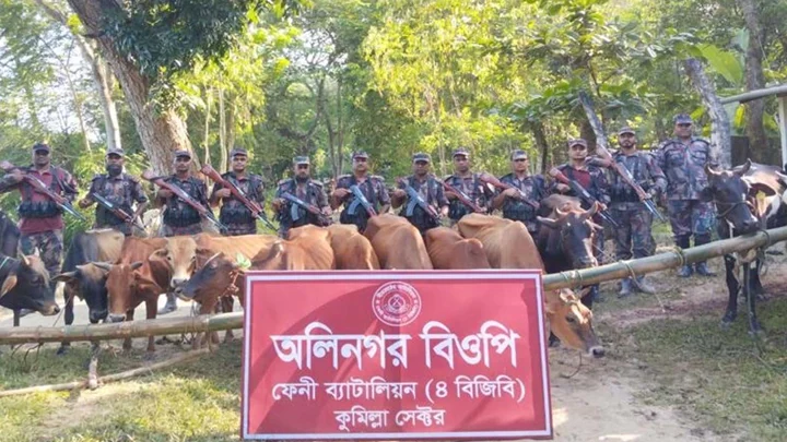 সীমান্তে অর্ধকোটি টাকার ভারতীয় মদ-গরু জব্দ