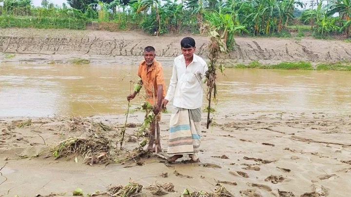 পাহাড়ি ঢলে তলিয়ে গেছে ১০০ হেক্টর জমি, দিশেহারা দুই শতাধিক কৃষক