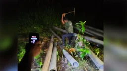 সিরাজদিখানে অবৈধ ড্রেজারের বিরুদ্ধে অভিযান