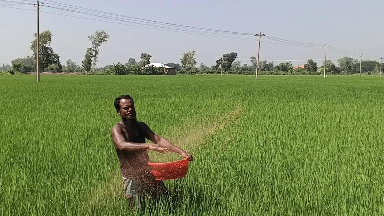 sirajgonj