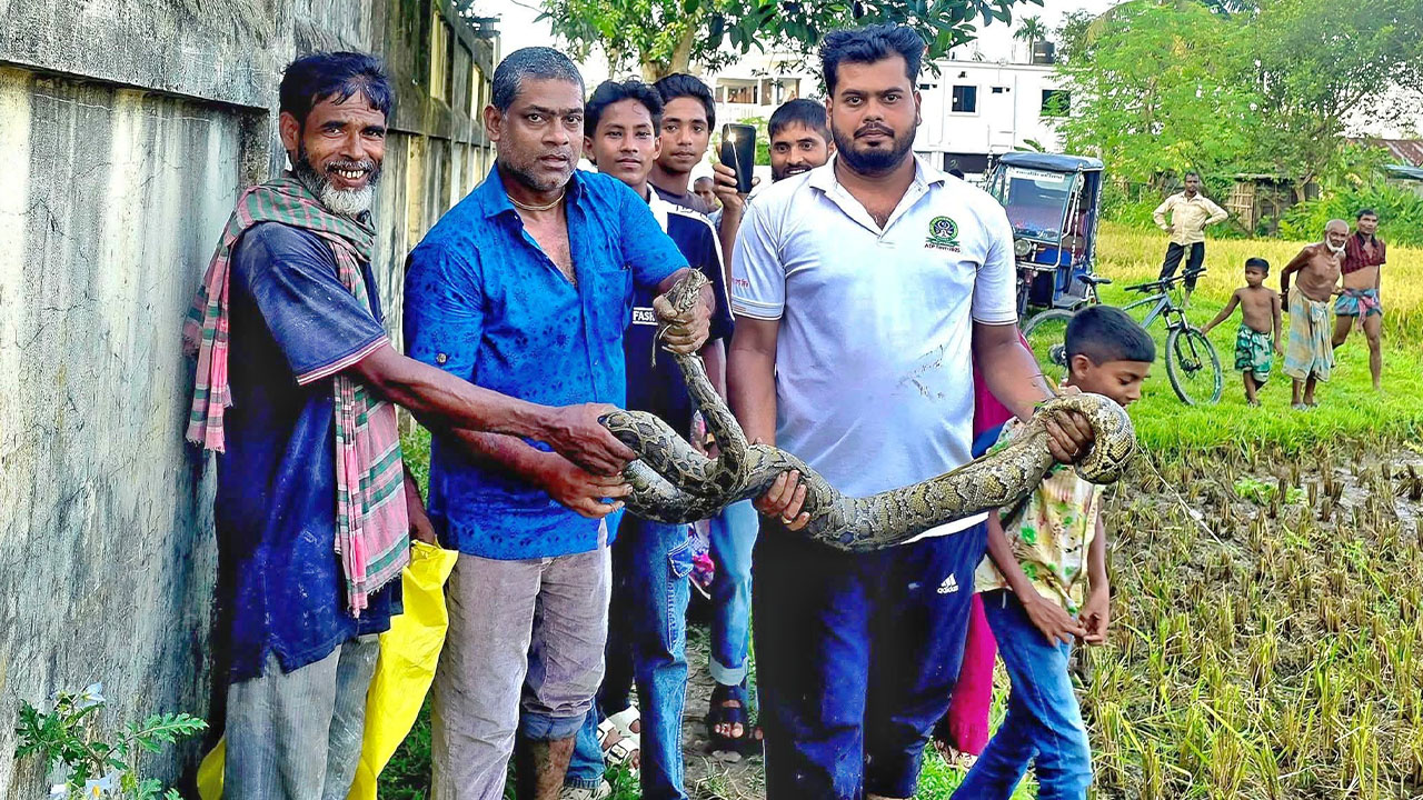 snake