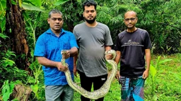 বসতবাড়ির গোয়ালঘর থেকে ৯ ফুট লম্বা অজগর উদ্ধার