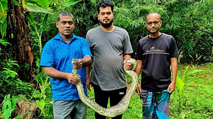 বসতবাড়ির গোয়ালঘর থেকে ৯ ফুট লম্বা অজগর উদ্ধার