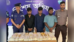 এসপি কার্যালয়ের সামনে অভিজাত ফ্ল্যাটে ইয়াবার কারবার