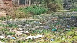 শ্রীমঙ্গলের বর্জ্য যাচ্ছে হাইল হাওরে, হুমকিতে জীববৈচিত্র্য