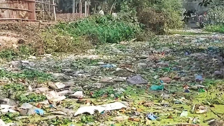 শ্রীমঙ্গলের বর্জ্য যাচ্ছে হাইল হাওরে, হুমকিতে জীববৈচিত্র্য