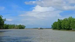 সুন্দরবনে জাহাজের ধাক্কায় নিখোঁজ জেলের মরদেহ উদ্ধার