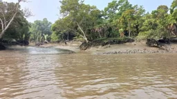 সুন্দরবনে অস্ত্রের মুখে ৬ জেলেকে অপহরণ, মুক্তিপণ দাবি