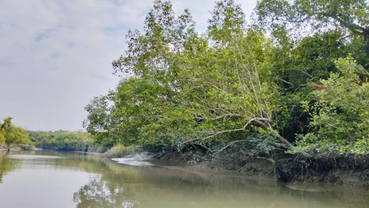 নদীভাঙন ও সুপেয় পানির সংকট, প্রধানমন্ত্রীর সফরে আশার আলো উপকূলবাসীর