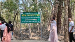 সুন্দরবনে টেলিটকের নেটওয়ার্ক বিপর্যস্ত, যোগাযোগে বিভ্রাট