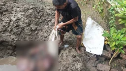 সুন্দরবনে ১৪৫ কেজি হরিণের মাংস জব্দ, পুঁতে ফেলল বন বিভাগ