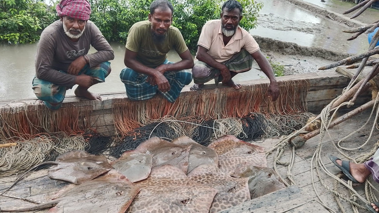 সুন্দরবনে শালপাতা মাছসহ ৬ জেলে আটক