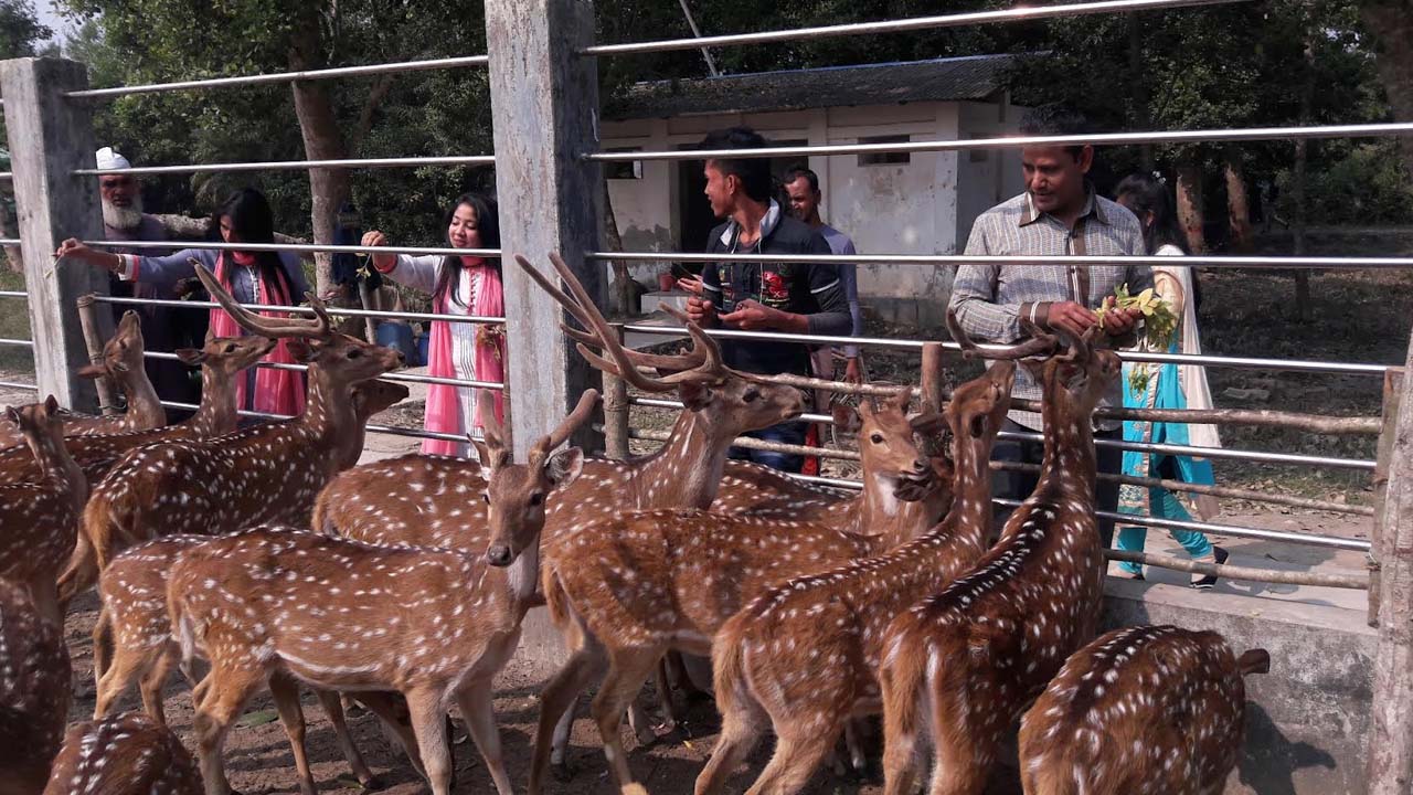 ছবি: এশিয়া পোস্ট