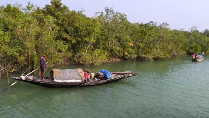 সুন্দরবনে ৪ জেলেকে অপহরণ করেছে মজনু বাহিনী