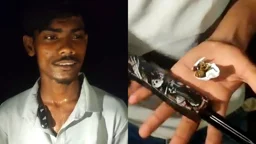 শাবিপ্রবি শিক্ষার্থীকে চা-বাগানে নিয়ে ছিনতাই, আটক ১