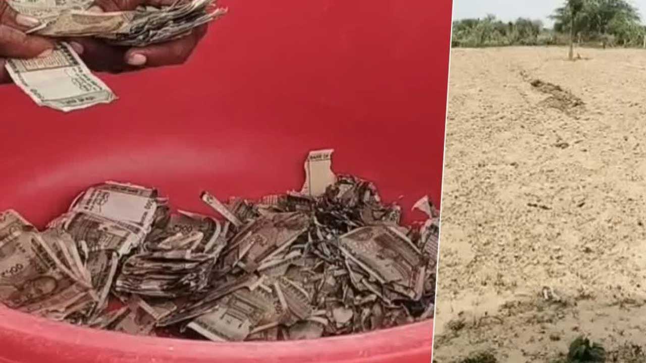 চুরির ভয়ে মাটিতে পুঁতে রাখা সাড়ে ৬ লাখ টাকা খেয়ে ফেলল উইপোকা