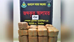 ১০০ কেজি গাঁজাসহ কৃষক দল নেতা গ্রেপ্তার