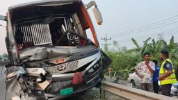 টাঙ্গাইলে ত্রিমুখী সংঘর্ষে নিহত ২