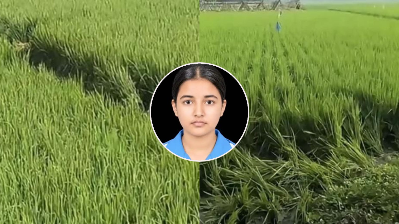 tanjin comilla