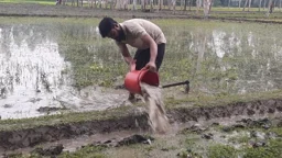কুড়িগ্রামে তীব্র লোডশেডিংয়ে দুর্বিষহ জনজীবন