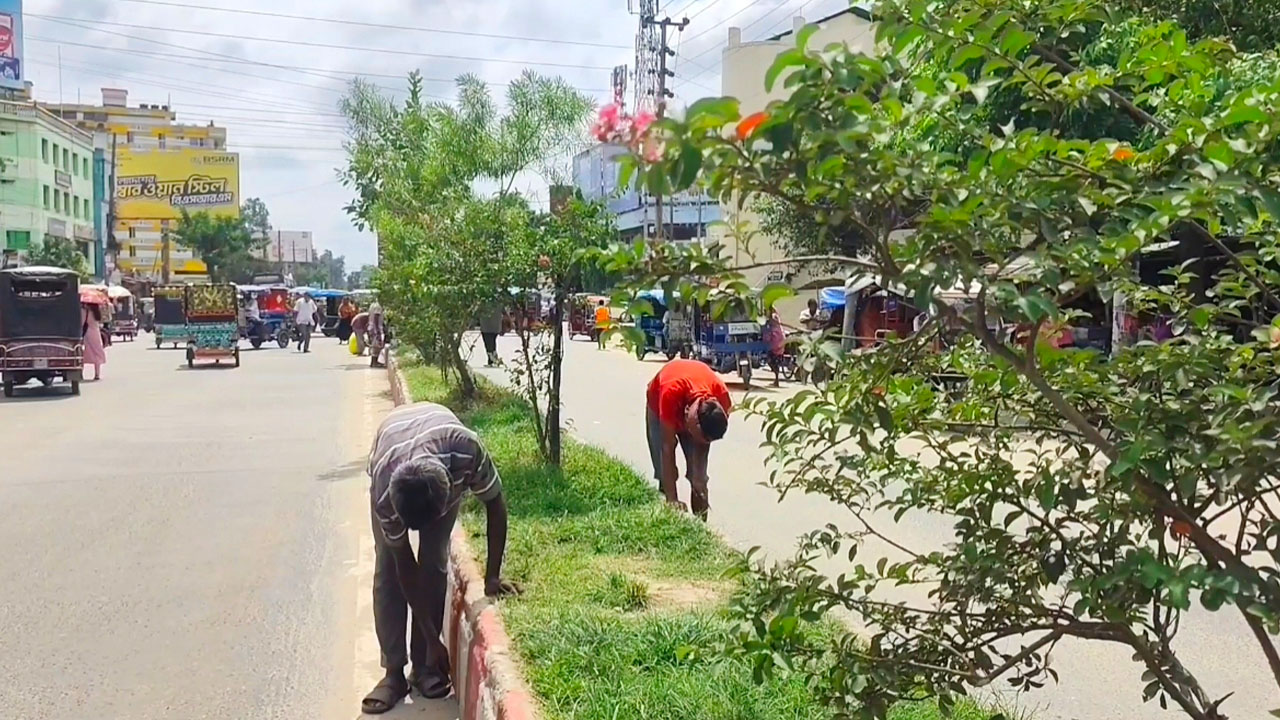 সড়ক বিভাজক রাঙিয়ে তোলর কাজ করছেন শ্রমিকরা। ছবি: এশিয়া পোস্ট