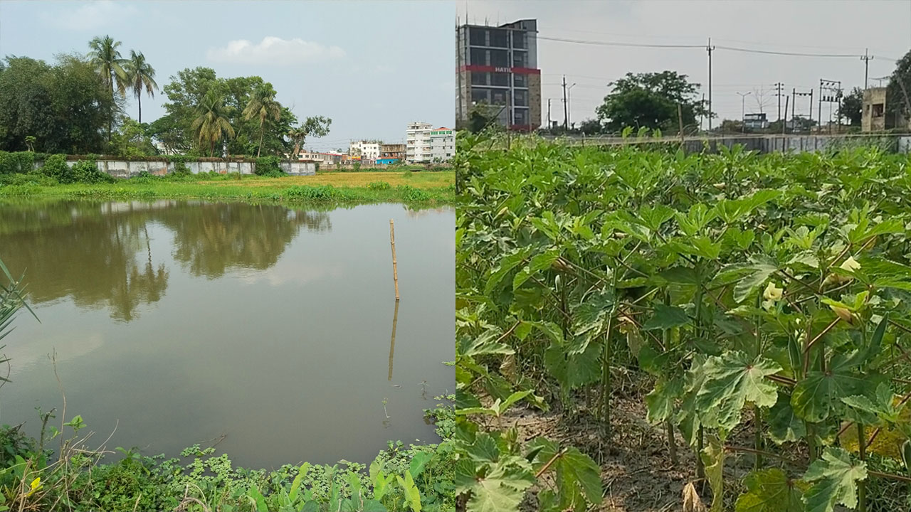 তিতাসের জমিতে মাছ-সবজি চাষ, নথি বদলের অভিযোগ