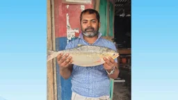 মেঘনায় ধরা পড়ল ২ কেজি ৭০০ গ্রামের ইলিশ