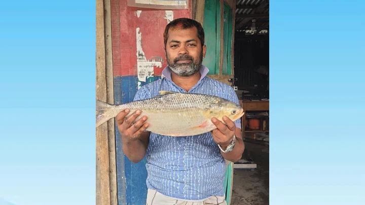 মেঘনায় ধরা পড়ল ২ কেজি ৭০০ গ্রামের ইলিশ