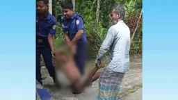 চুরি করতে গিয়ে গাছ থেকে পড়ল চোর, উদ্ধারে ডাকল বাড়ির মালিককেই