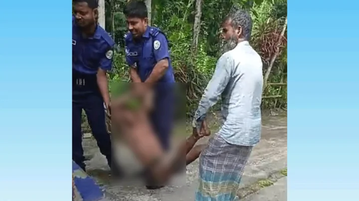 চুরি করতে গিয়ে গাছ থেকে পড়ল চোর, উদ্ধারে ডাকল বাড়ির মালিককেই