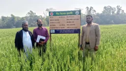 ৪০ উপজেলায় হচ্ছে ‘সীড ভিলেজ’