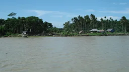 বন্ধুদের সঙ্গে নদীতে নেমে আর ফেরা হলো না হাবিবের