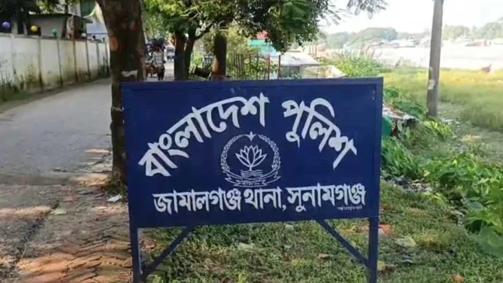 মাছ ধরা নিয়ে বিরোধ, ভাইয়ের হাতে ভাই নিহত