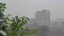 আগামী চার দিন যেমন থাকবে আবহাওয়া